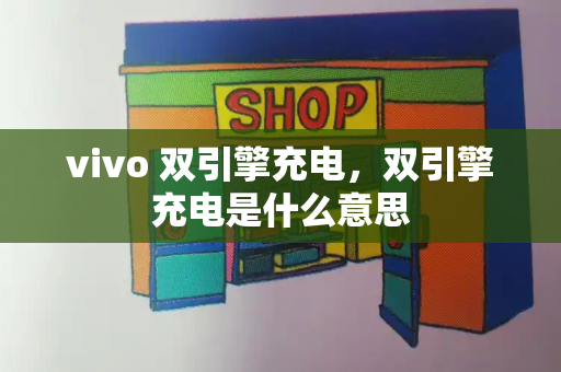 vivo 双引擎充电，双引擎充电是什么意思