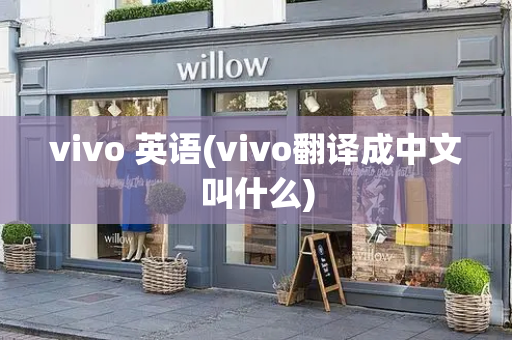 vivo 英语(vivo翻译成中文叫什么)