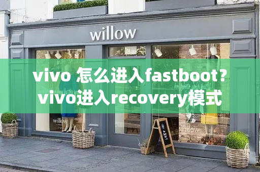 vivo 怎么进入fastboot？vivo进入recovery模式