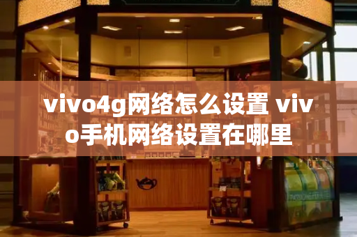 vivo4g网络怎么设置 vivo手机网络设置在哪里