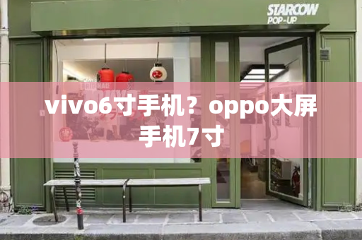 vivo6寸手机？oppo大屏手机7寸