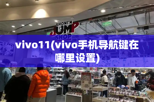 vivo11(vivo手机导航键在哪里设置)