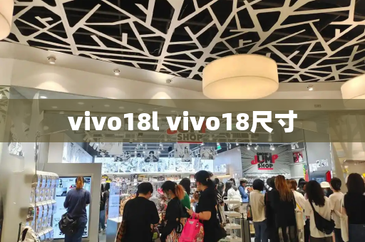 vivo18l vivo18尺寸