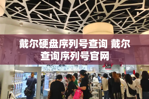 戴尔硬盘序列号查询 戴尔查询序列号官网