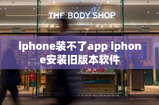 iphone装不了app iphone安装旧版本软件-第1张图片-星选测评