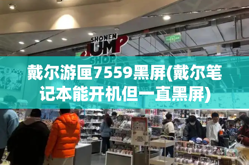 戴尔游匣7559黑屏(戴尔笔记本能开机但一直黑屏)-第1张图片-星选测评