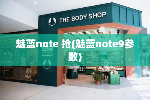 魅蓝note 抢(魅蓝note9参数)