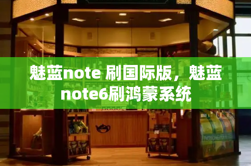 魅蓝note 刷国际版，魅蓝note6刷鸿蒙系统