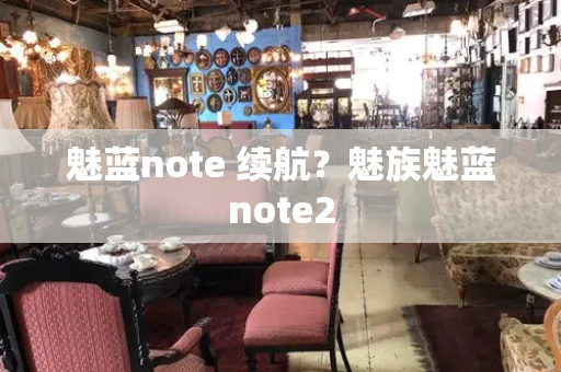 魅蓝note 续航？魅族魅蓝note2