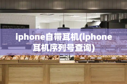 iphone自带耳机(iphone耳机序列号查询)-第1张图片-星选测评