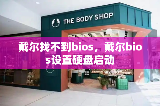 戴尔找不到bios，戴尔bios设置硬盘启动