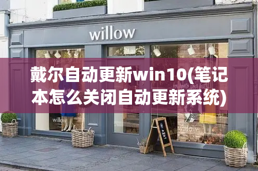 戴尔自动更新win10(笔记本怎么关闭自动更新系统)