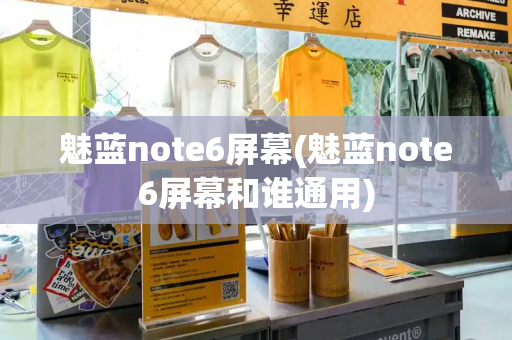 魅蓝note6屏幕(魅蓝note6屏幕和谁通用)