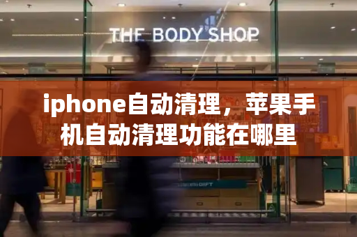 iphone自动清理，苹果手机自动清理功能在哪里-第1张图片-星选测评