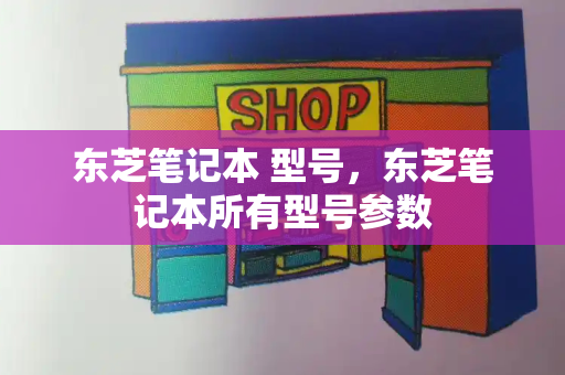 东芝笔记本 型号，东芝笔记本所有型号参数-第1张图片-星选测评