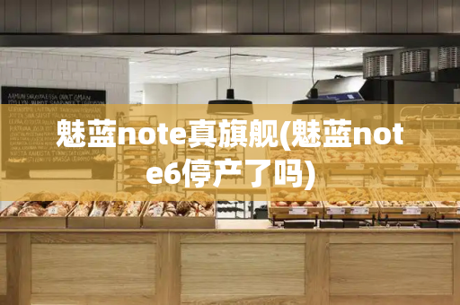 魅蓝note真旗舰(魅蓝note6停产了吗)