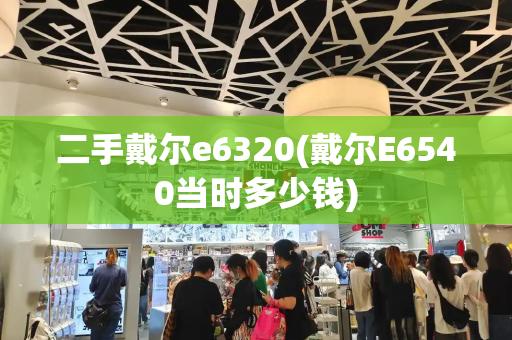 二手戴尔e6320(戴尔E6540当时多少钱)