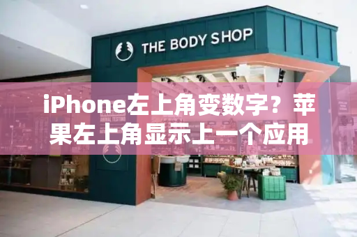 iPhone左上角变数字？苹果左上角显示上一个应用-第1张图片-星选测评