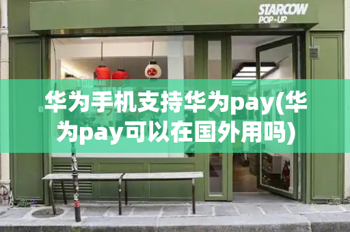 华为手机支持华为pay(华为pay可以在国外用吗)