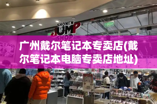 广州戴尔笔记本专卖店(戴尔笔记本电脑专卖店地址)-第1张图片-星选测评