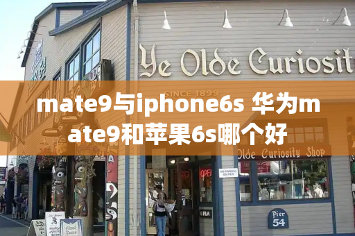 mate9与iphone6s 华为mate9和苹果6s哪个好-第1张图片-星选测评