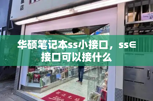 华硕笔记本ss小接口，ss∈接口可以接什么