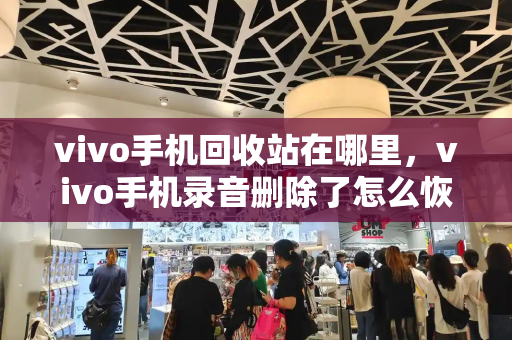 vivo手机回收站在哪里，vivo手机录音删除了怎么恢复