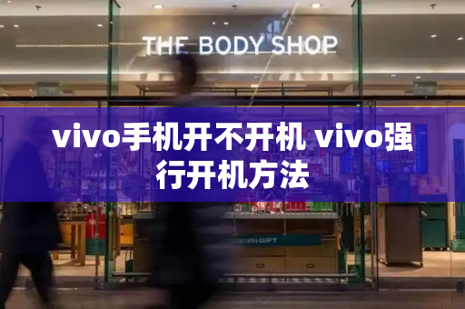 vivo手机开不开机 vivo强行开机方法