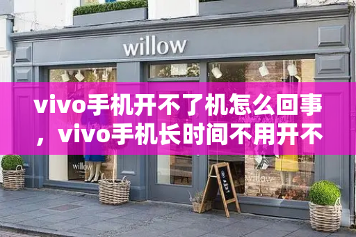 vivo手机开不了机怎么回事，vivo手机长时间不用开不了机-第1张图片-星选值得买