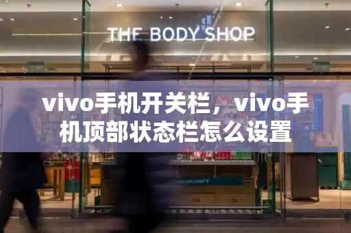 vivo手机开关栏，vivo手机顶部状态栏怎么设置