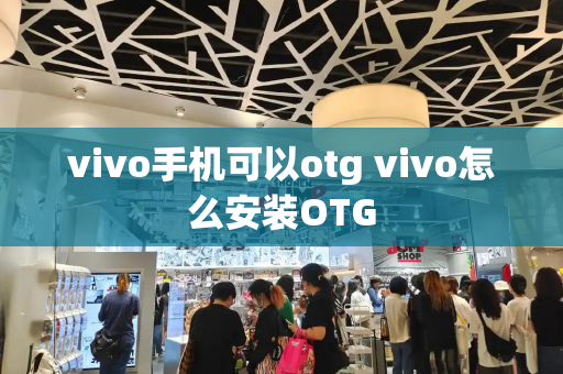 vivo手机可以otg vivo怎么安装OTG