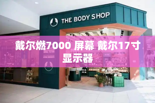 戴尔燃7000 屏幕 戴尔17寸显示器