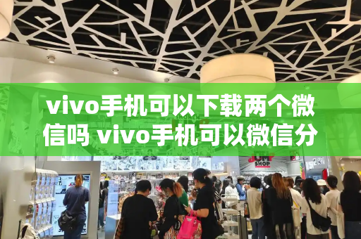 vivo手机可以下载两个微信吗 vivo手机可以微信分身吗-第1张图片-星选值得买