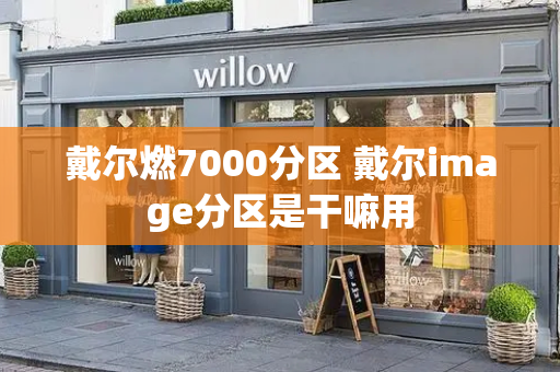 戴尔燃7000分区 戴尔image分区是干嘛用