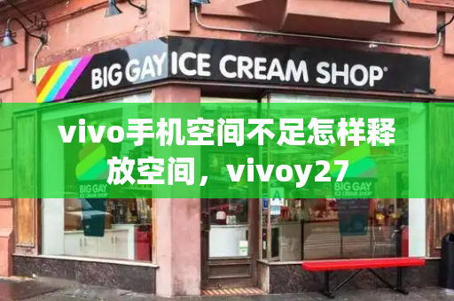 vivo手机空间不足怎样释放空间，vivoy27