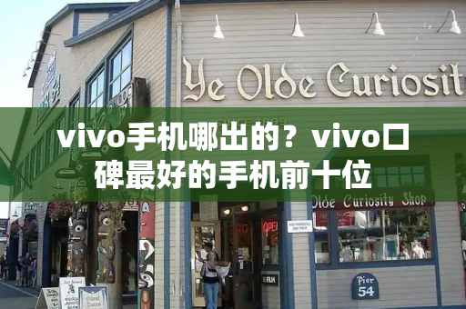 vivo手机哪出的？vivo口碑最好的手机前十位