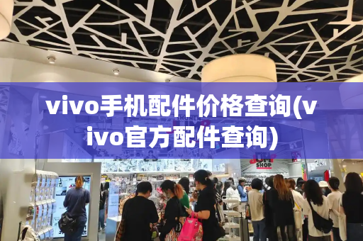 vivo手机配件价格查询(vivo官方配件查询)