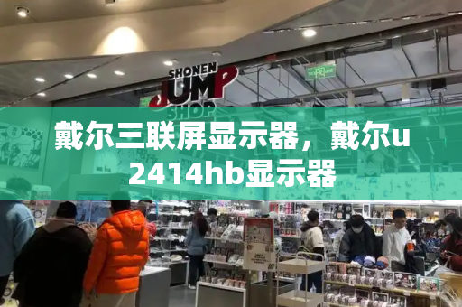 戴尔三联屏显示器，戴尔u2414hb显示器-第1张图片-星选测评