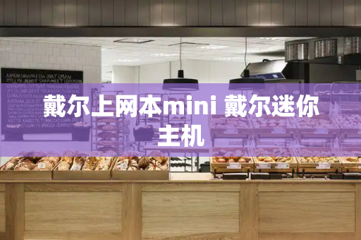 戴尔上网本mini 戴尔迷你主机