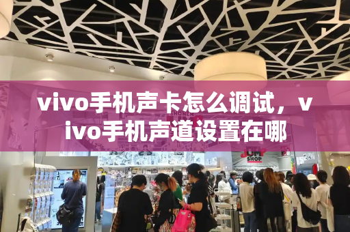 vivo手机声卡怎么调试，vivo手机声道设置在哪