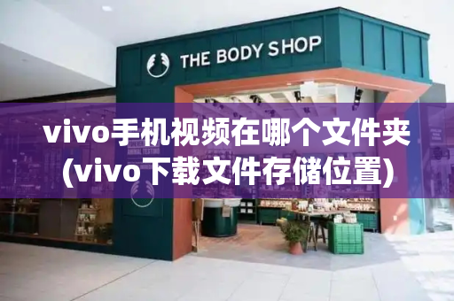 vivo手机视频在哪个文件夹(vivo下载文件存储位置)