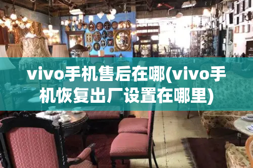 vivo手机售后在哪(vivo手机恢复出厂设置在哪里)-第1张图片-星选值得买