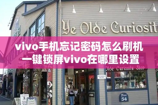 vivo手机忘记密码怎么刷机 一键锁屏vivo在哪里设置-第1张图片-星选值得买