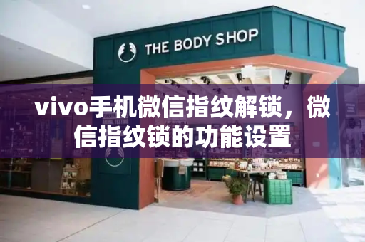 vivo手机微信指纹解锁，微信指纹锁的功能设置-第1张图片-星选值得买