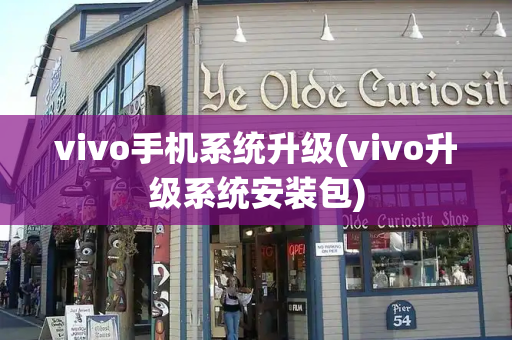 vivo手机系统升级(vivo升级系统安装包)