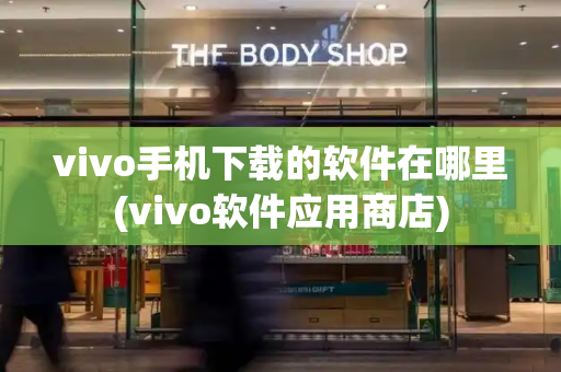 vivo手机下载的软件在哪里(vivo软件应用商店)