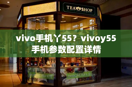 vivo手机丫55？vivoy55手机参数配置详情