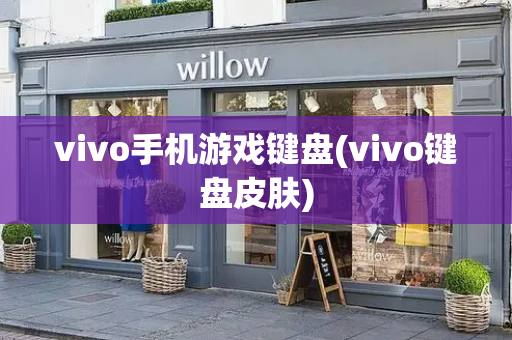 vivo手机游戏键盘(vivo键盘皮肤)