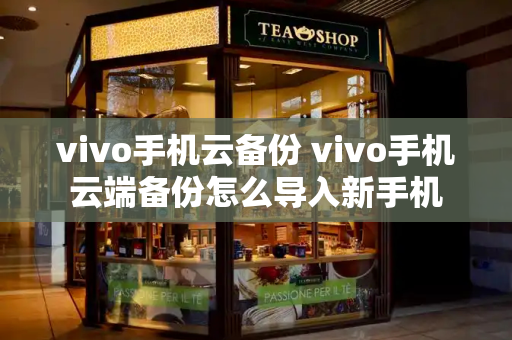 vivo手机云备份 vivo手机云端备份怎么导入新手机