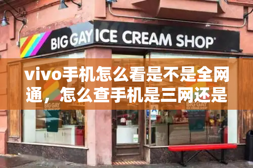 vivo手机怎么看是不是全网通，怎么查手机是三网还是两网